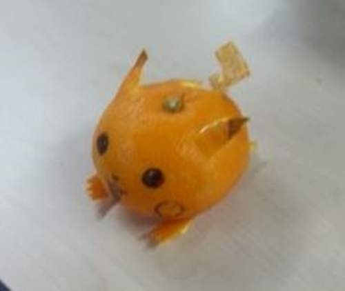 韓《橘子皮藝術》趴兔 警察杯杯這裡有人玩食物啦 韓《橘子皮藝術》趴兔 警察杯杯這裡有人玩食物啦