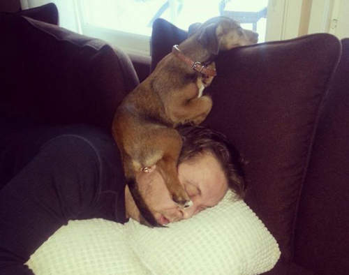 《動物惡作劇》我相信你們都是故意的www