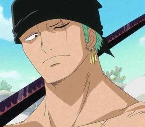 索隆生日快樂　11月11日這天我們就一起迷路吧（誤）