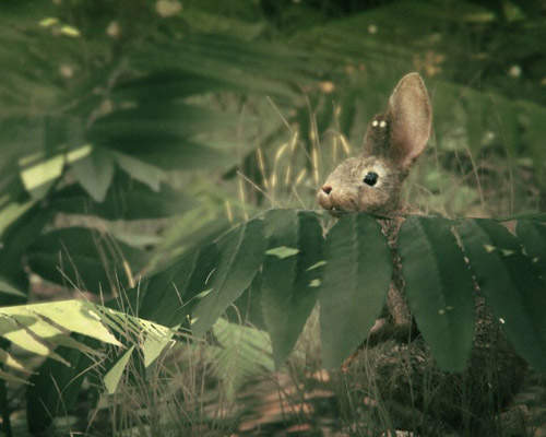 《俠盜獵車手5》玩家的超寫實遊戲中照相擷圖 《俠盜獵車手5》玩家的超寫實遊戲中照相擷圖