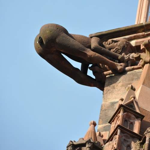 《各國解宿醉妙招》吃糞便這招真的很難為人阿