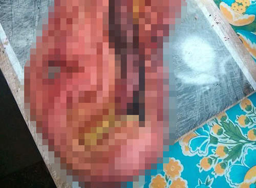 男友限定《突變蛋糕》她應該是想跟男友分手吧(誤) 男友限定《突變蛋糕》她應該是想跟男友分手吧(誤)