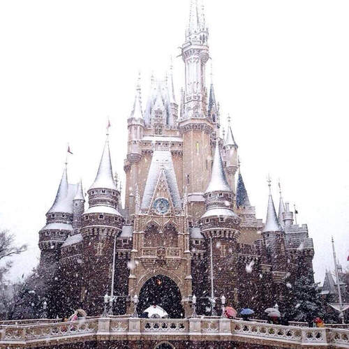 超夢幻《迪士尼雪景》再冷也想去親眼看看~ෆ◕ㅂ◕ෆ 超夢幻《迪士尼雪景》再冷也想去親眼看看~ෆ◕ㅂ◕ෆ