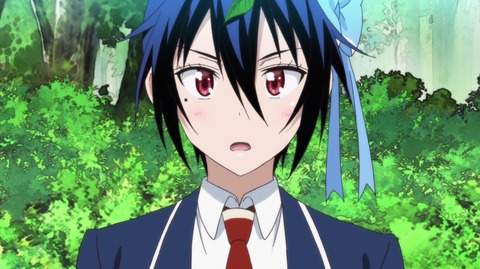 《輕小說文庫應援隊長》鶫誠士郎聲優小松未可子：最喜歡輕小說～