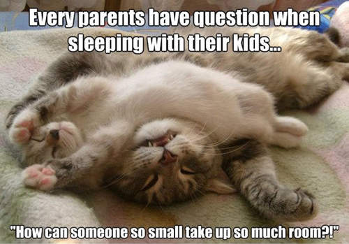 《知道父母很難當的動物們》爸、媽～真是辛苦你們了ε-(-∀-；)