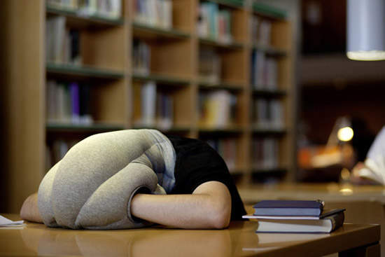 《鴕鳥午安枕》讓你隨時隨地都超級好睡...z..Z...z.. 《鴕鳥午安枕》讓你隨時隨地都超級好睡...z..Z...z..