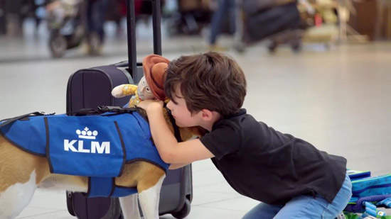荷蘭《機場神犬》看完你可能會故意遺失物品(笑) 荷蘭《機場神犬》看完你可能會故意遺失物品(笑)