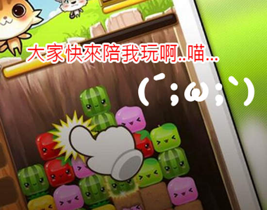 好傷心的《貓貓水果》遊戲 這個官方推特好心酸...(´;ω;`)