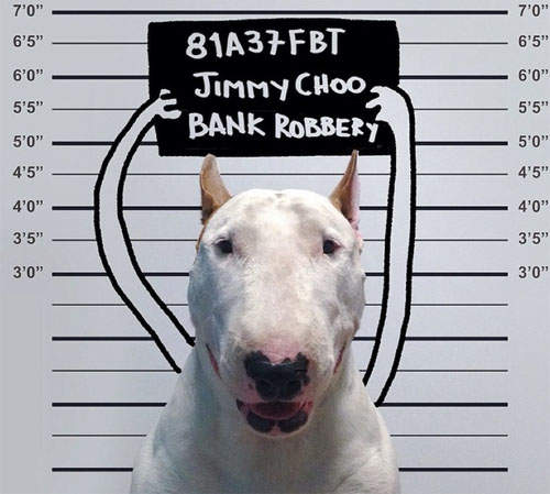 《家有賤狗》你犯了可愛罪（緊抱）