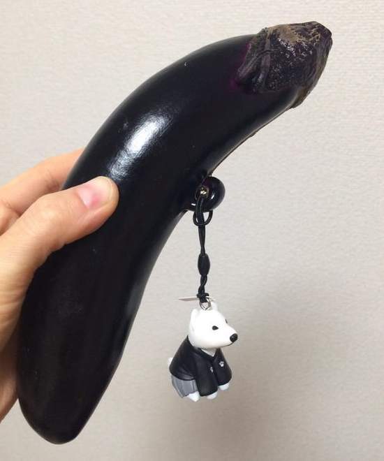 《大自然的奇蹟》天生擁有吊飾孔的奇妙茄子