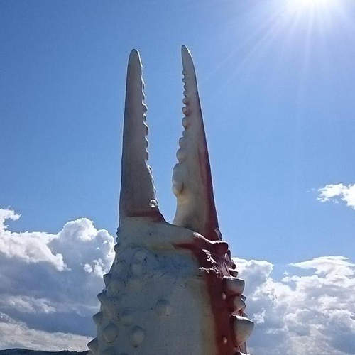 《推特爆紅觀光景點》看起來超好吃的超巨大螃蟹爪？