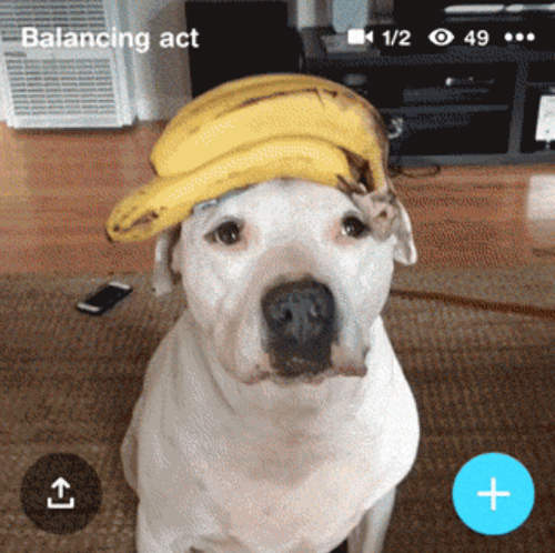 《Facebook Riff》臉書最新的影片互接 app 感覺會紅喔（汪）