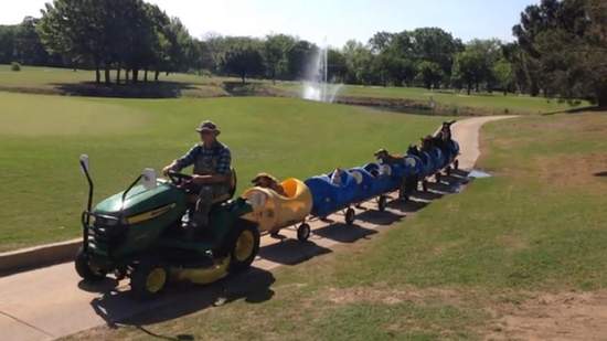 《流浪狗ㄅㄨ ㄅㄨ車》史上最萌流浪狗救援列車出發～