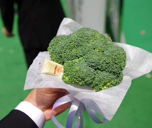 新郎專用《花椰菜捧花》連美乃滋也一起附上www 新郎專用《花椰菜捧花》連美乃滋也一起附上www