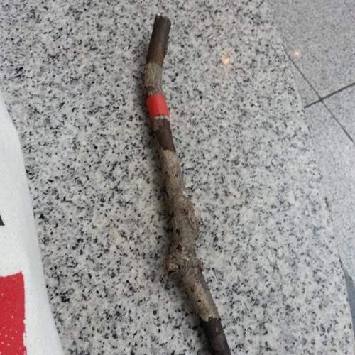 《令人不解的遺失物》有些東西很考驗道德感阿