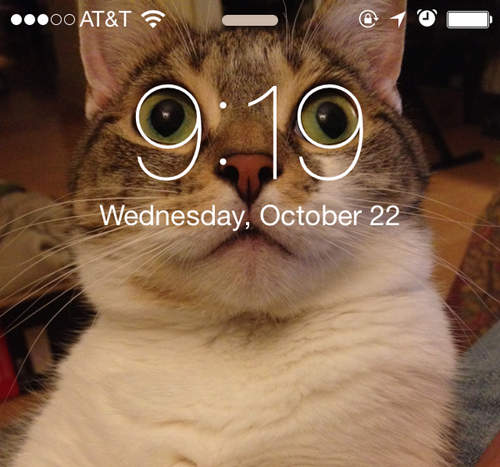 《貓奴的共通點》你對貓主子夠忠誠嗎？ (｡･`ω´･)っ