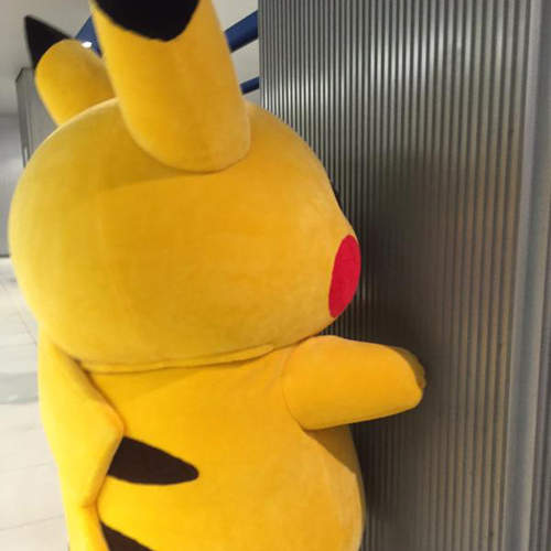 《皮卡丘大量出沒》橫濱市變身皮卡丘市▼o・ェ・o▼ 《皮卡丘大量出沒》橫濱市變身皮卡丘市▼o・ェ・o▼