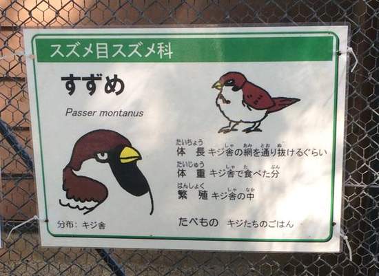 《動物園幽默介紹文》請小心會攻擊現充的大象www 《動物園幽默介紹文》請小心會攻擊現充的大象www