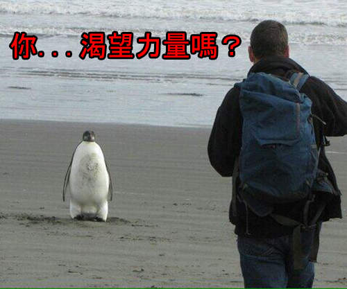 動物強者版「你渴望力量嗎?」違和感你快回來上班啊www 動物強者版「你渴望力量嗎?」違和感你快回來上班啊www