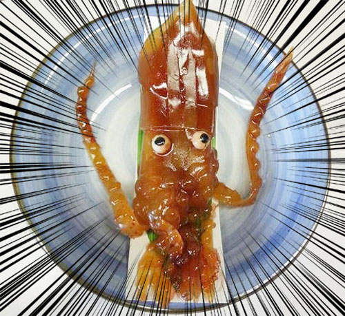 《蓋逼真魷魚羊羹》充血的眼球太嚇人啦www 《蓋逼真魷魚羊羹》充血的眼球太嚇人啦www