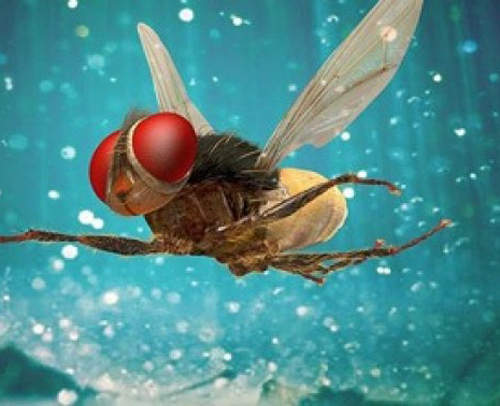 《殺蟲神器》鹽巴散彈槍進化版 可以順便替晚餐加料？