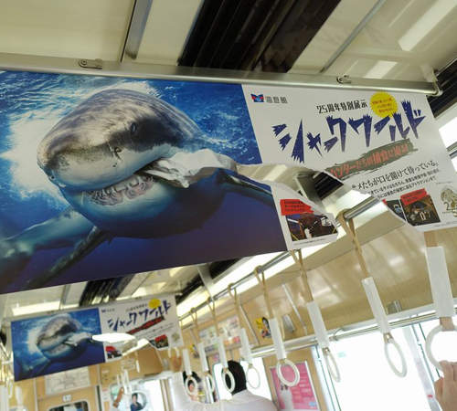 《日本創意車廂廣告》海報中的鯊魚竟然撕破了海報!? 《日本創意車廂廣告》海報中的鯊魚竟然撕破了海報!?