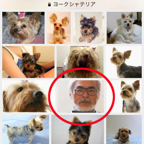 《圖片搜尋亂入》這不是人家要估狗的東西啦～～～（哭鬧）