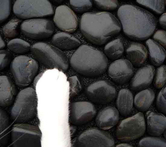 《生活宅偏方》堅固又耐用的DIY鋪石子地墊 《生活宅偏方》堅固又耐用的DIY鋪石子地墊