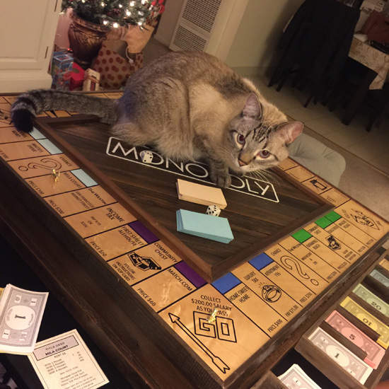 《大富翁求婚》機會跟命運中就藏著結婚婚戒