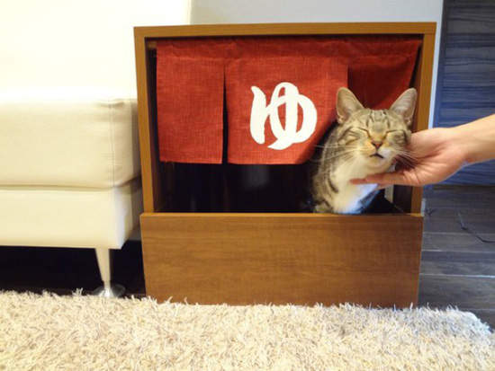 《貓咪澡堂風廁所》請問貓殿下 今天的水溫怎麼樣呢？