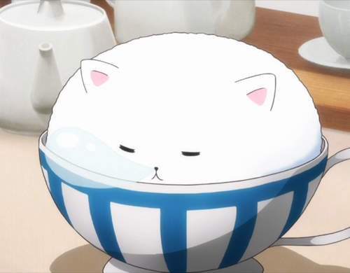 《兔子咖啡廳開幕》這裡就是新的難民營嗎？我的心在怦怦跳呀～～