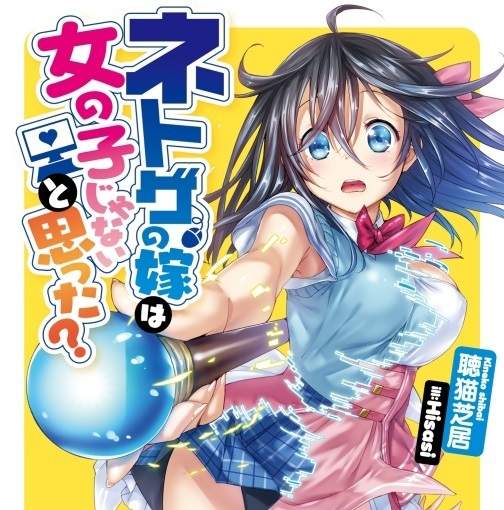 《線上遊戲的老婆不可能是女生?》描寫真實題材人氣輕小說動畫化 《線上遊戲的老婆不可能是女生?》描寫真實題材人氣輕小說動畫化