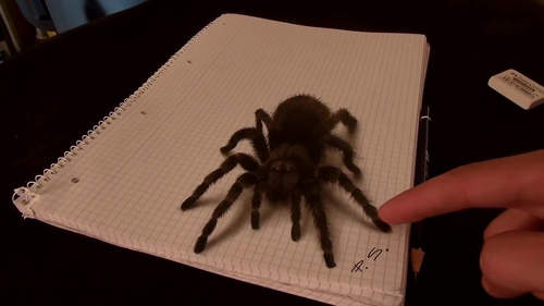 Stefan Pabst的《3D畫》畫了隻蜘蛛嚇女兒~女兒的反應是..? Stefan Pabst的《3D畫》畫了隻蜘蛛嚇女兒~女兒的反應是..?