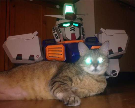 《貓咪啟動的瞬間》我是機動戰士喵彈也要跟你說嗎？ΦωΦ