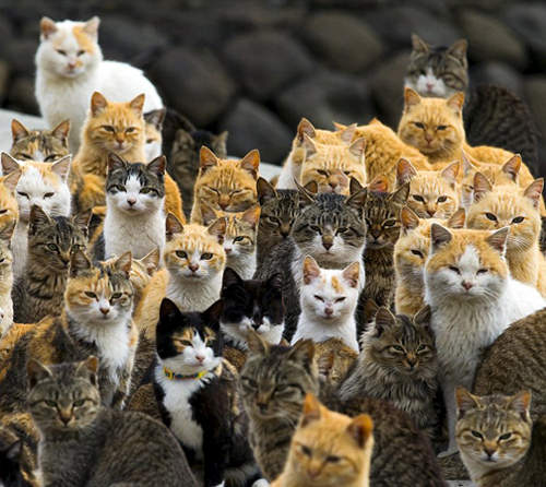 網友選出《Instagram最特別照片TOP20排行榜》你喜歡哪張呢