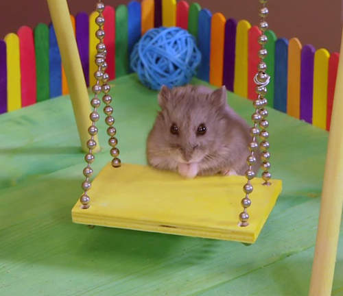 《鼠鼠迷你遊樂場》小朋友去旁邊玩沙(真的玩沙) 《鼠鼠迷你遊樂場》小朋友去旁邊玩沙(真的玩沙)