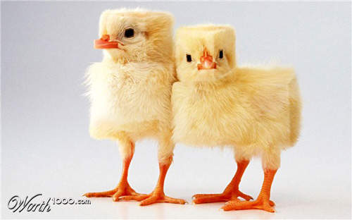 《方正的世界》原本是圓的東西變成方方正正感覺超微妙 《方正的世界》原本是圓的東西變成方方正正感覺超微妙