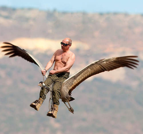 【俄羅斯超激影片】戰鬥民族的日常真是驚險又刺激