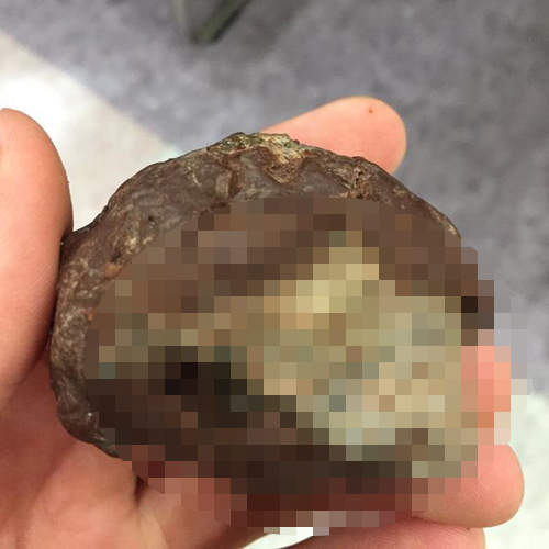 《超惡意情人節巧克力》好不容易收到巧克力怎麼開心不起來...(困) 《超惡意情人節巧克力》好不容易收到巧克力怎麼開心不起來...(困)