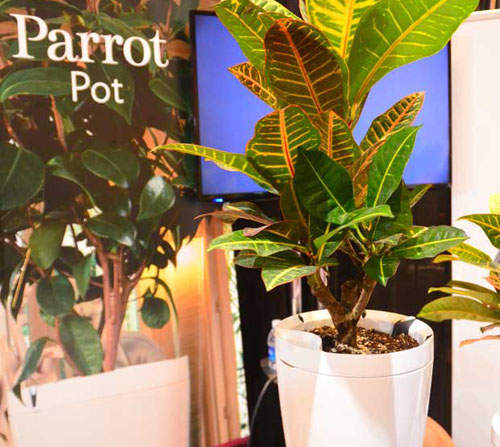 2015 CES展《會自動幫你澆水的鸚鵡花盆》智慧度不夠喔希望還能翻土施肥除蟲(喂) 2015 CES展《會自動幫你澆水的鸚鵡花盆》智慧度不夠喔希望還能翻土施肥除蟲(喂)