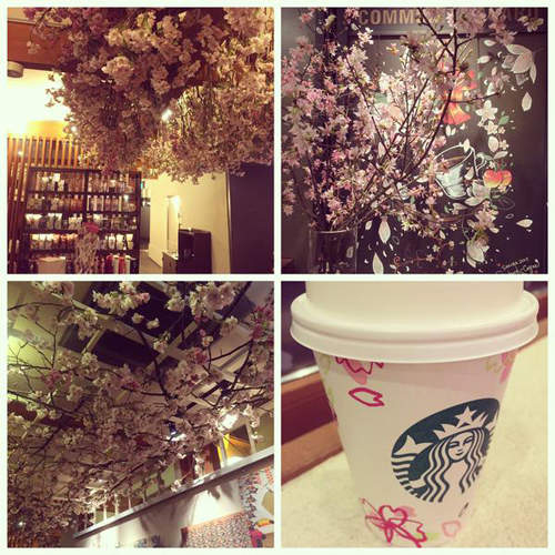 地區限定《星巴克櫻花季》櫻花盛開的美景在星巴克店內就看得到 地區限定《星巴克櫻花季》櫻花盛開的美景在星巴克店內就看得到