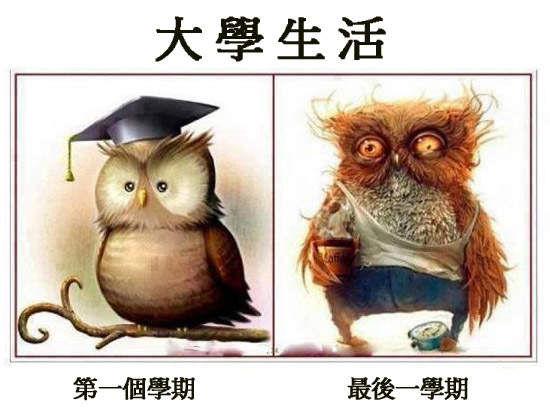 《各科系誠實心聲》我絕對沒有要戰文理 《各科系誠實心聲》我絕對沒有要戰文理