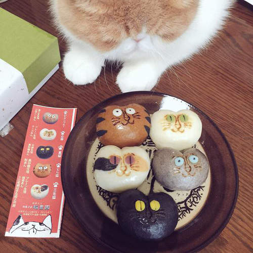 日本招福《貓子和菓》各種花紋都是代表不同的味道喔 日本招福《貓子和菓》各種花紋都是代表不同的味道喔