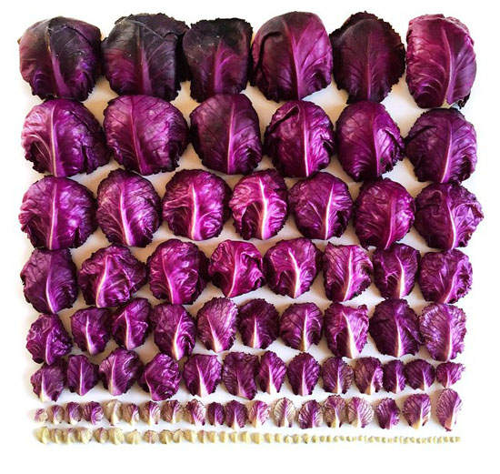 《超整齊照片》強迫症患者表示愉☆悅