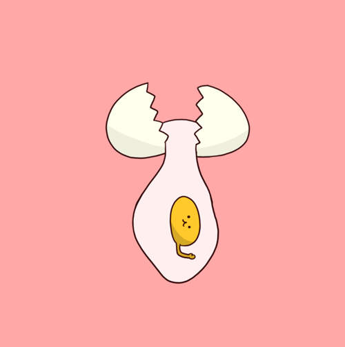 《蛋再大蛋黃永遠一樣大？》日本網友親手實驗終結謠言……