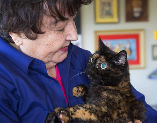 《世界最長壽的貓》27歲高齡貓瑞最後的日子是...（感動）