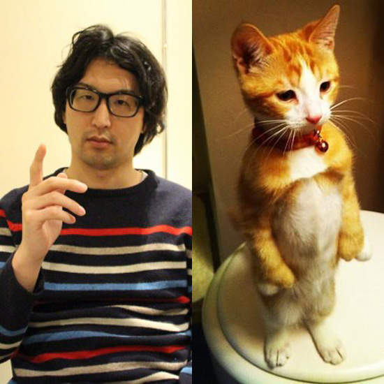 網友實驗《貓咪照片的分享數》那我把自己變成貓看看好了... 網友實驗《貓咪照片的分享數》那我把自己變成貓看看好了...