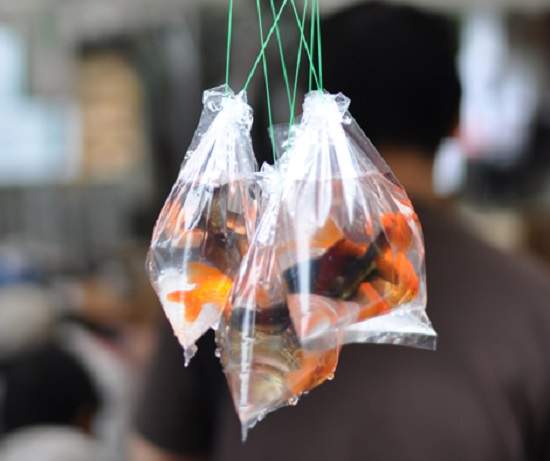 《愛開玩笑的老媽》當她的小孩隨時都可能被嚇出一身冷汗Σ(;゚д゚) 《愛開玩笑的老媽》當她的小孩隨時都可能被嚇出一身冷汗Σ(;゚д゚)