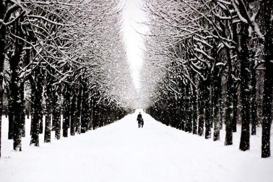 《夢幻般的白銀世界》來自世界各地的雪景照片集 《夢幻般的白銀世界》來自世界各地的雪景照片集