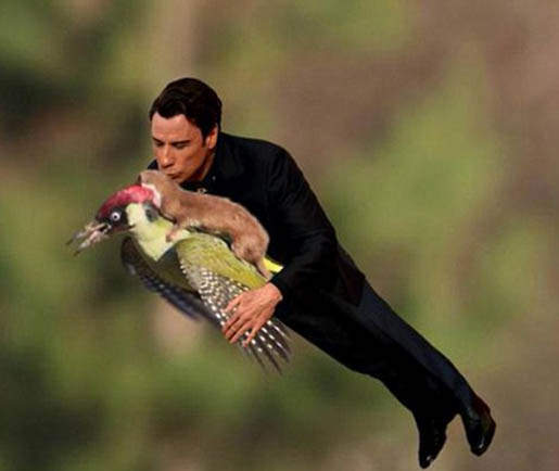 《鼬鼠便車照瘋傳》來挑戰你可以塞進多少惡搞圖？